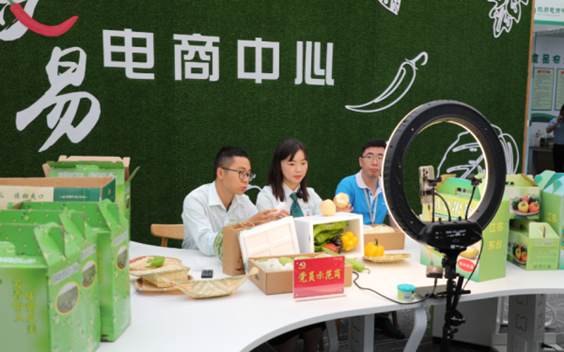 盐城生产力促进:城市创新发展的关键推进器
